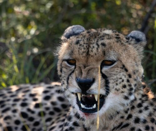 10 Days Adventure Travel Tours