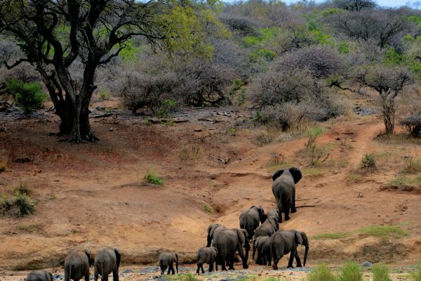 14 Days Budget Safaris Kenya and Tanzania