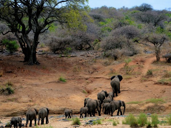 14 Days Budget Safaris Kenya and Tanzania