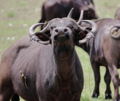 9 Days Best Explorationtours