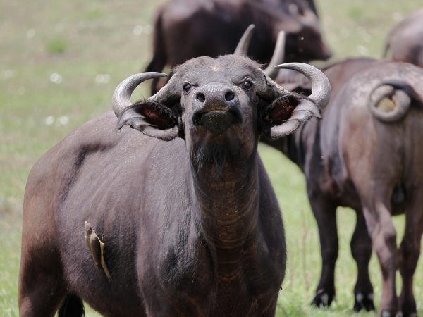 9 Days Best Explorationtours