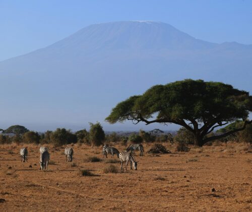 4 Days Up Sirimon Down Chogoria In Camping Tents