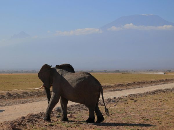 4 Days Up Sirimon Down Sirimon